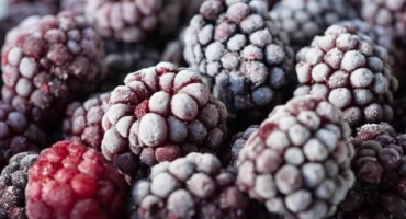 3 Nejlepší recepty na zmrazení ostružin v lednici na zimu